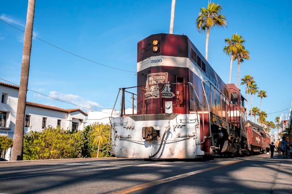 A red train moves along a palm tree-lined street with white buildings in the background under a clear blue sky.