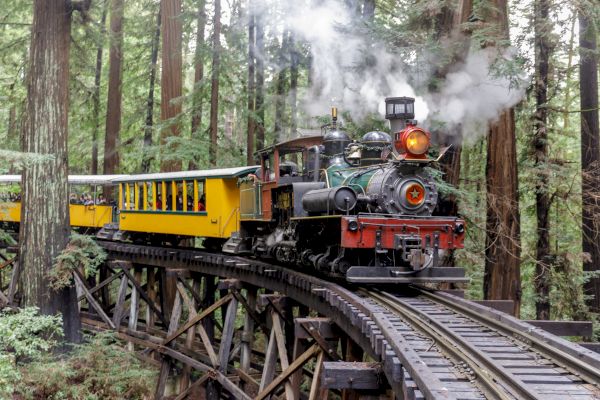 A vintage steam train with yellow carriages travels through a dense forest on an elevated wooden track, emitting smoke.